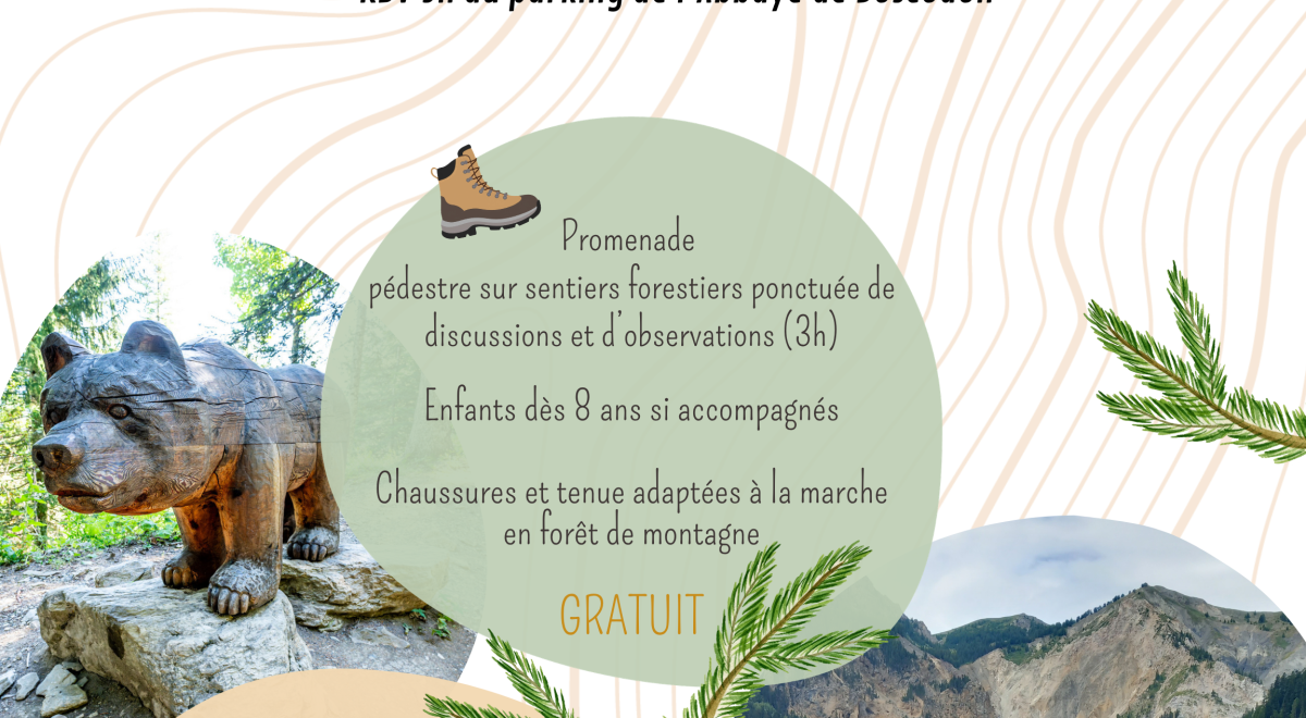 les coulisses des forêts - les coulisses des forêts