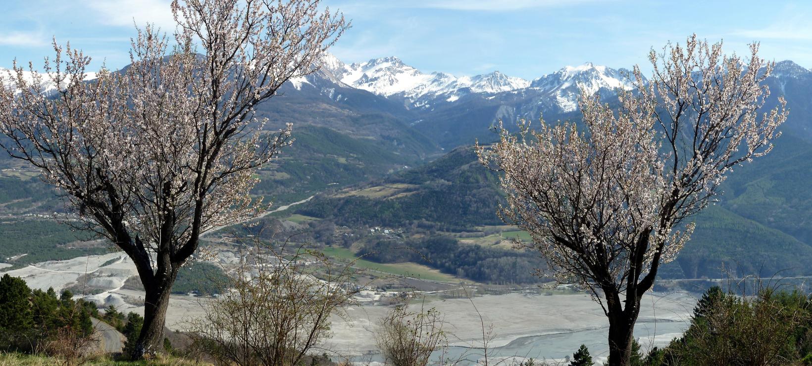 Panorama Amandiers Puy Sanières