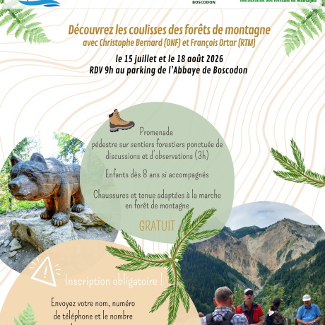 les coulisses des forêts - les coulisses des forêts