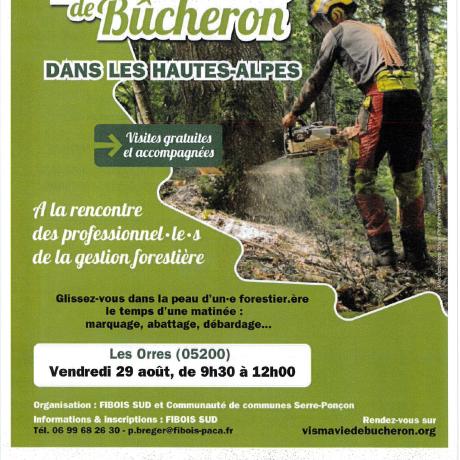 Vis ma vie de Bûcheron dans les Hautes-Alpes