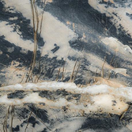 Photo_Anne Baudemont 