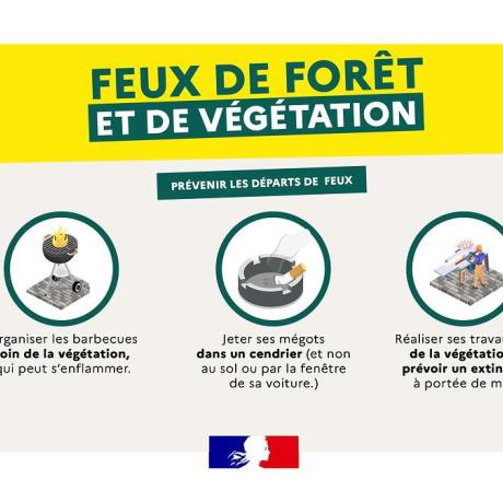feu de forêt feu de forêt