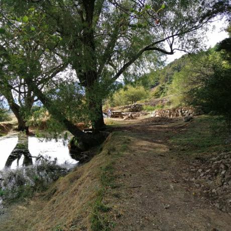 Travaux dans le cadre des journées citoyennes