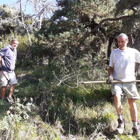 Travaux dans le cadre des journées citoyennes