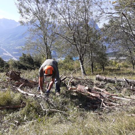 Travaux dans le cadre des journées citoyennes
