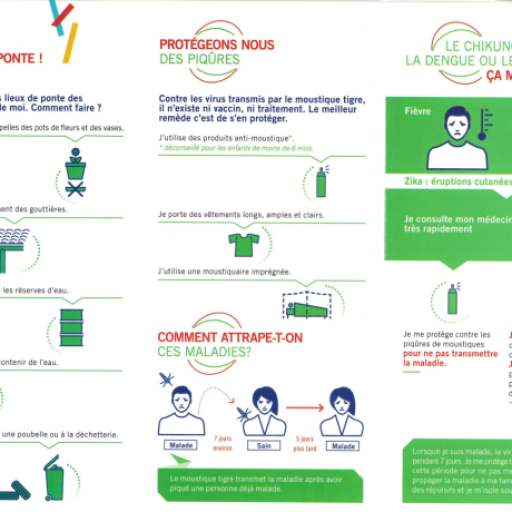 Ne laissons pas les moustiques s' installer