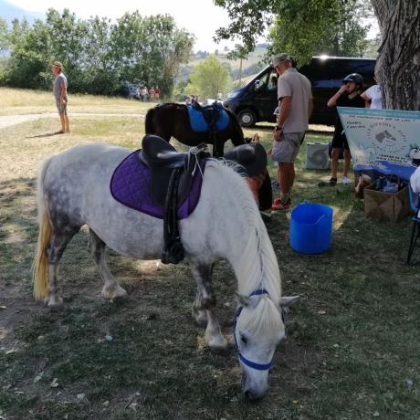 Fête du village juillet 2022