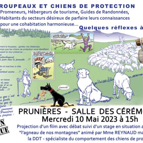 Affiche réunion publique chiens de protection de troupeaux