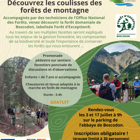 Découvrez les coulisses des forêts de montagne