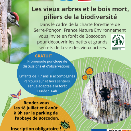 Les vieux arbres et le bois mort