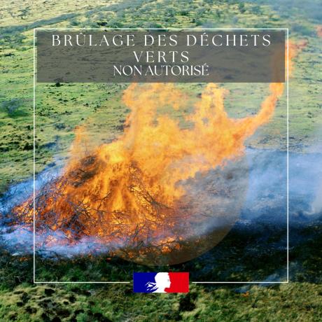 brulage des déchets verts.jpg brulage des déchets verts.jpg