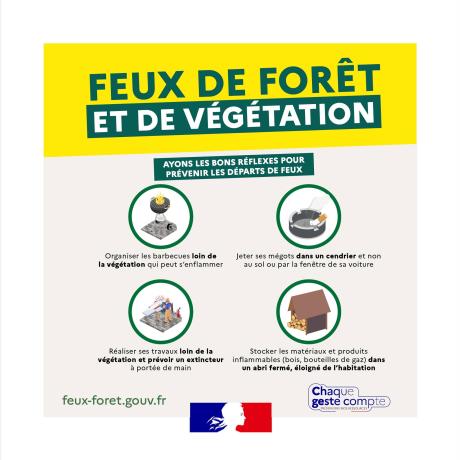 Feux de forêt.jpg