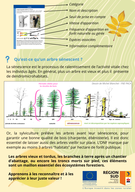 fiche BMS verso fiche BMS verso