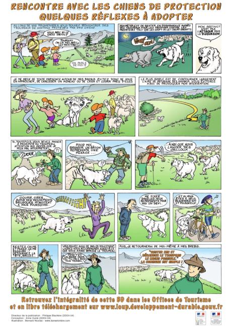 Rencontre avec les chiens de protection