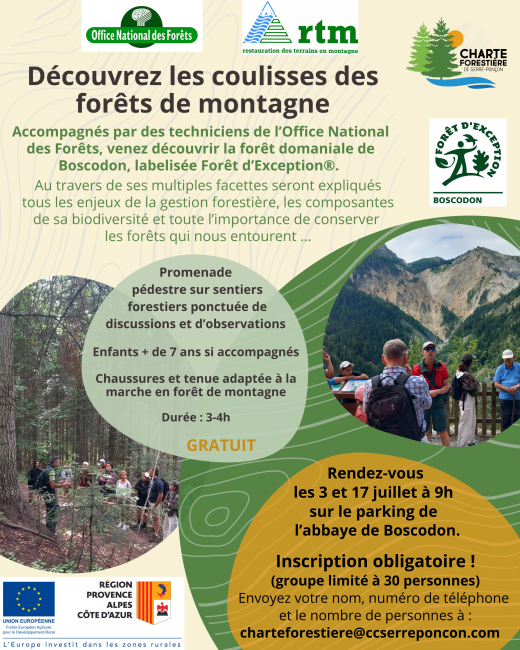 Découvrez les coulisses des forêts de montagne
