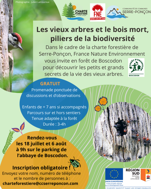 Les vieux arbres et le bois mort