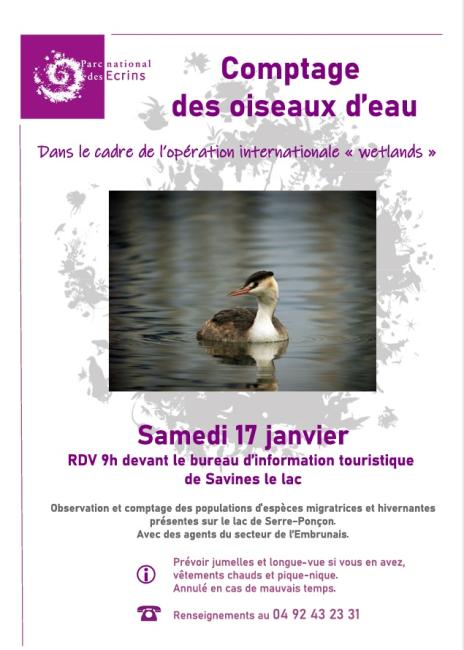 Affiche comptage des oiseaux d'eau